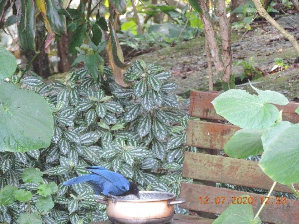 Pousada Dona Francisca Florianópolis Esterno foto